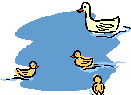 duck011